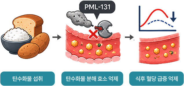 항당뇨 기전